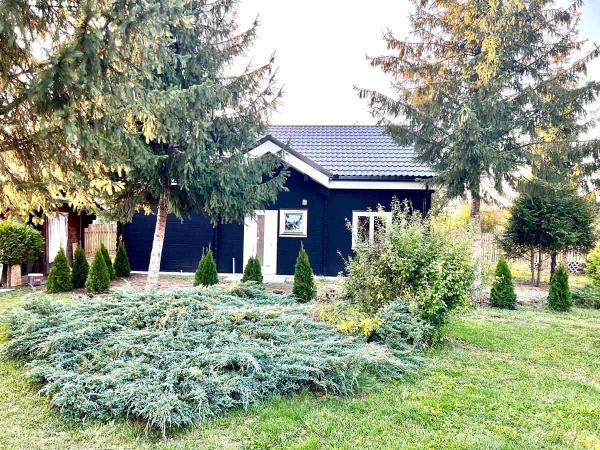 Vila Scandinavia Sângeorgiu de Mureş Exterior foto